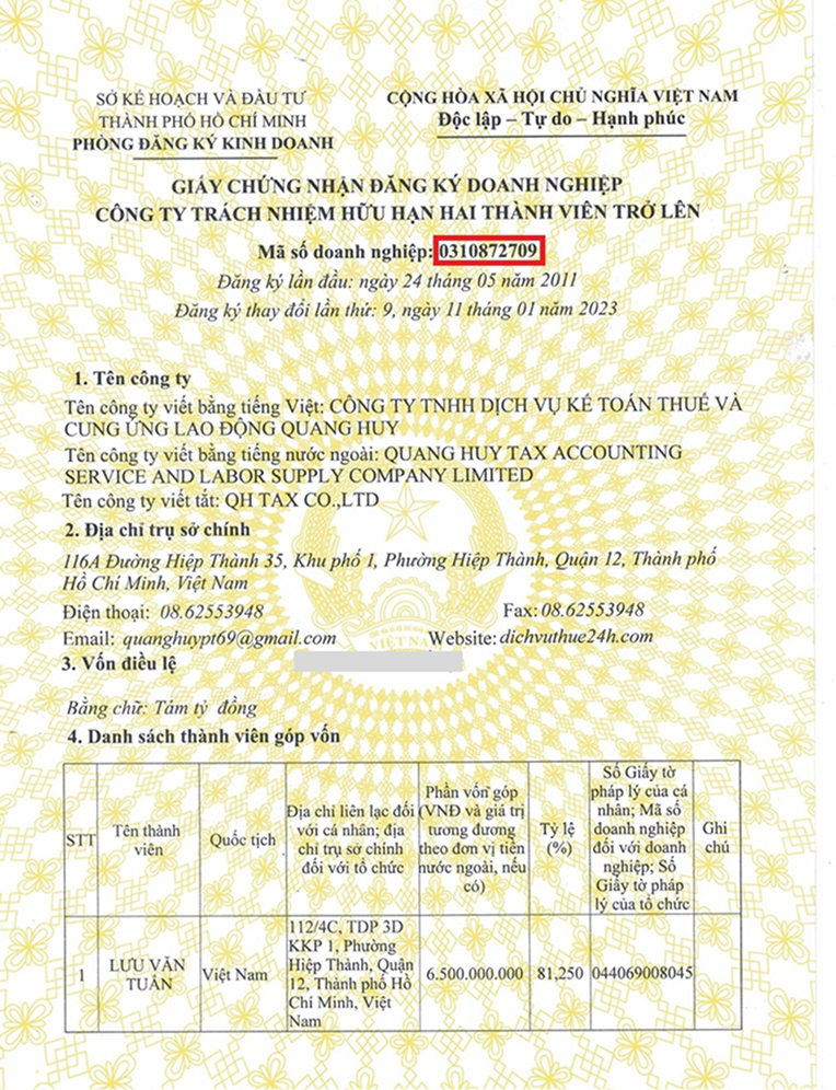 Ví dụ mã số doanh nghiệp của Thuế Quang Huy